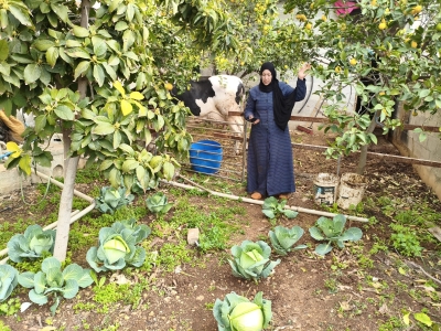 الإغاثة الزراعية توزع طرودًا صحية على الأسر المتضررة في مخيمات دير البلح