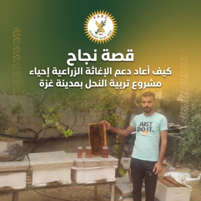 كيف أعاد دعم الإغاثة الزراعية إحياء مشروع تربية النحل بمدينة غزة